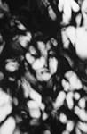 Blur of the Otherworldly by Spencer Finch