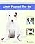 Jack Russell Terrier (Nueva...
