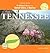 Tennessee (Bilingual Library of the United States of America) (English and Spanish Edition)