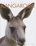 Kangaroos