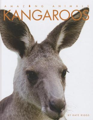 Kangaroos (Amazing Animals)