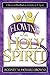 Flowing in the Holy Spirit by Rodney Howard-Browne