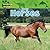 Horses (Amazing Animals)