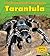 Tarantula (A Day in the Life: Rain Forest Animals)