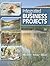 Integrated Business Projects (Integrated Office Applications)