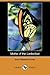 Moths of the Limberlost