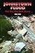 Johnstown Flood: The Day the Dam Burst (American Disasters)