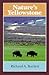Nature's Yellowstone