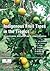 Indigenous Fruit Trees in the Tropics by F.K. Akinnifesi