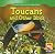 Toucans and Other Birds (Animals That Live in the Rain Forest)