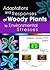 Adaptations and Responses of Woody Plants to Environmental St... by Rajeev Arora