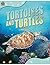 Animal Lives: Tortoises and Turtles (Qeb Animal Lives)