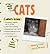 The Simple Guide to Cats by Sandra L. Toney
