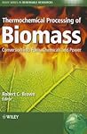 Thermochemical Processing of Biomass: Conversion into Fuels, Chemicals and Power