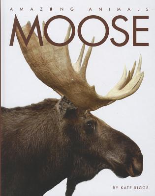 Moose (Amazing Animals)
