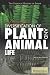 The Paleozoic Era by John P. Rafferty