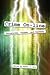 Crime On-line by Thomas J. Holt