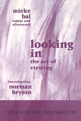 Looking In (Critical Voices in Art, Theory and Culture)