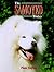 The Samoyed Today by Pam Taylor