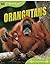 Animal Lives: Orangutans