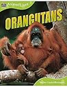 Animal Lives: Orangutans