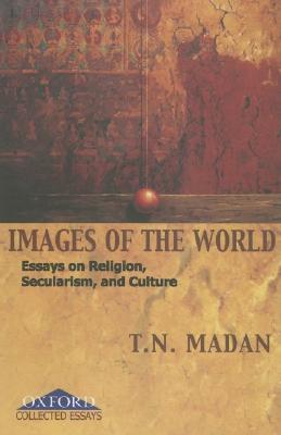 Images of the world essays on religion secularism and culture 06 image