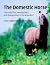 The Domestic Horse: The Ori...