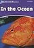 In the Ocean