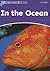 In the Ocean