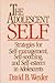 The Adolescent Self by David B. Wexler