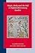 Magic, Body and the Self in Eighteenth-Century Sweden (Studies in Medieval and Reformation Traditions, 135)