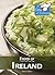 Foods of Ireland by Barbara Sheen Busby