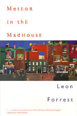 Meteor in the Madhouse (Hardcover)