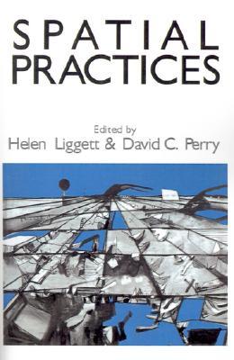Spatial Practices (Paperback)