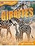 Animal Lives: Giraffes (Animal Lives (Teacher Created Resources))