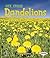Dandelions (First Step Nonfiction: Plant Life Cycles)