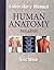 Human Anatomy