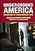 Underground America: Narratives of Undocumented Lives