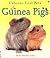 Guinea Pigs