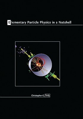 Elementary Particle Physics in a Nutshell (Hardcover)