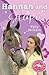 Hannah and Hope (Pony Camp Diaries, #9)