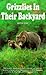 Grizzlies In Their Backyard by Beth Day