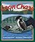 Loon Chase (Arbordale Collection)