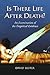 Is There Life After Death?: An Examination of the Empirical Evidence