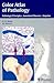 Color Atlas of Pathology: Pathologic Principles-Associated Diseases-Sequela