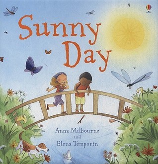 Sunny Day (Hardcover)