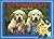 Totally Puppies Jigsaw Book [With Five 48-Piece Jigsaws]