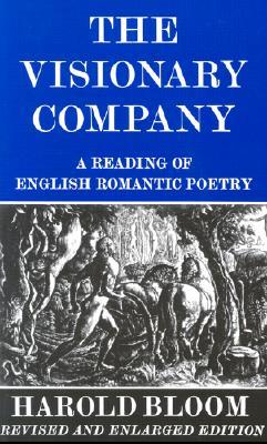 The Visionary Company: A Reading of English Romantic Poetry (Paperback)