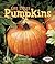 Pumpkins by Robin Nelson