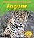 Jaguar (A Day in the Life: Rain Forest Animals)